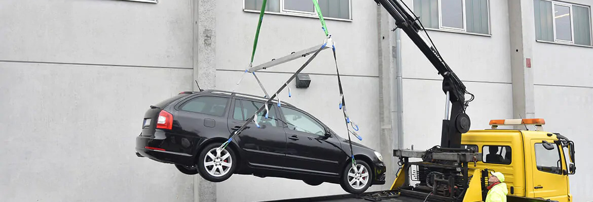 Fahrzeuge transportieren auf Plateau